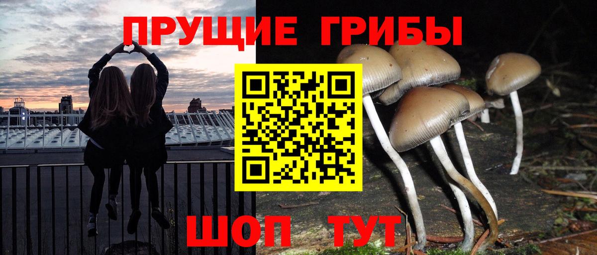 Галлюциногенные грибы Psilocybine cubensis  Вход с VPN  Кстово 